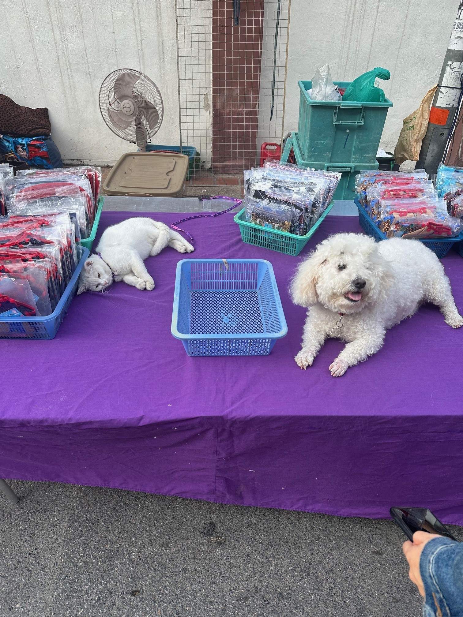 skutki pracy z wewnętrznym dzieckiem